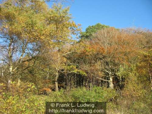 Coole Park, County Galway